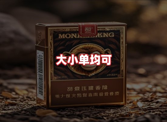 专业团队